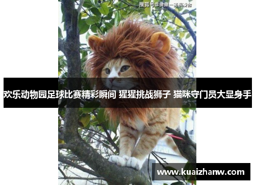 欢乐动物园足球比赛精彩瞬间 猩猩挑战狮子 猫咪守门员大显身手